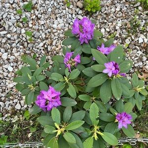 Meet your Posher, Lexie